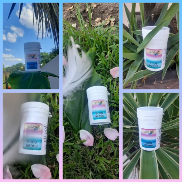 Herbal Mix For PCOS (Polycystic Ovarian Syndrome)