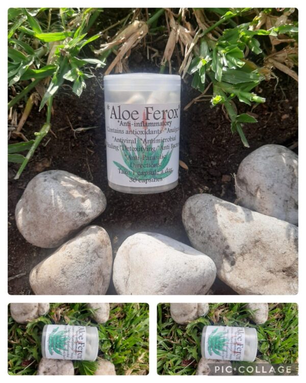 Aloe Ferox