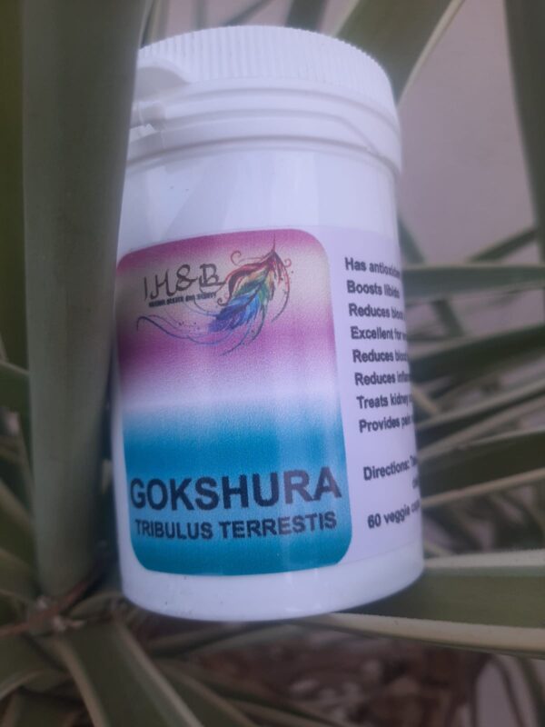 Gokshura
